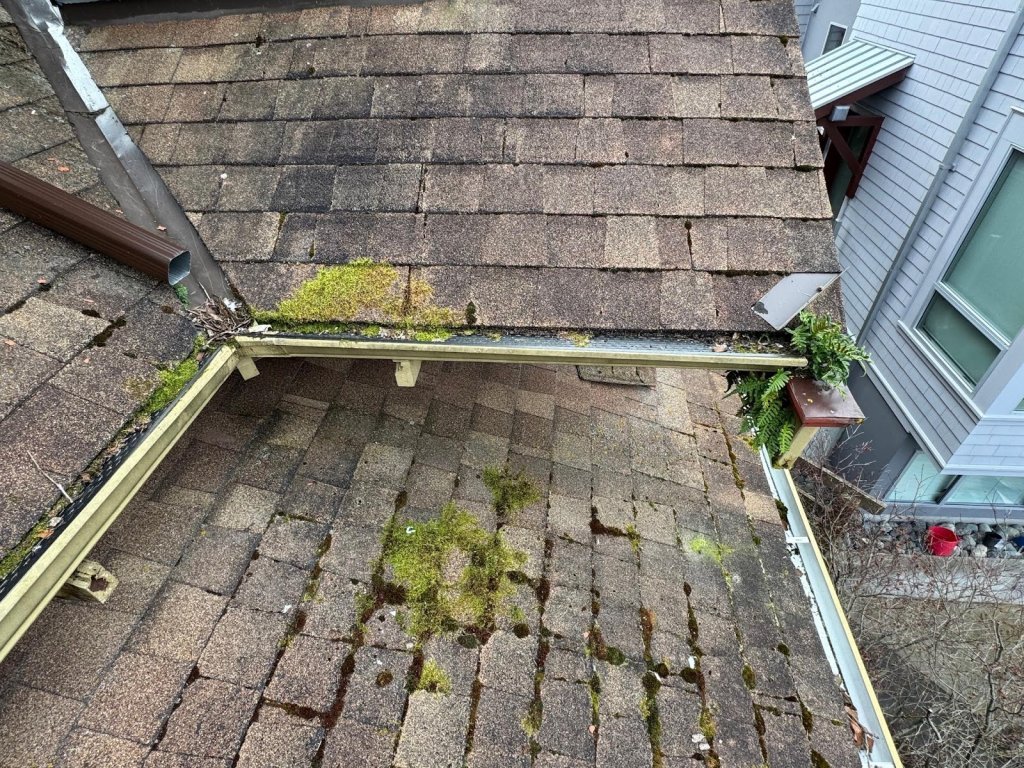 All Star Gutters