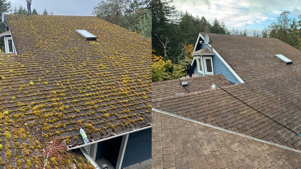 AnyWeather Exterior Cleaning