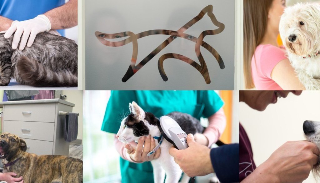 Oaklands Veterinary Hospital logo